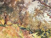 John Singer Sargent Trees on the Hillside at Majorca China oil painting reproduction